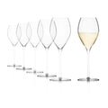 Set 6 Copas Champagne 425 ml Fino